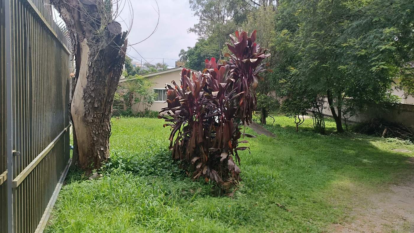 Terreno, 5898 m² - Foto 2