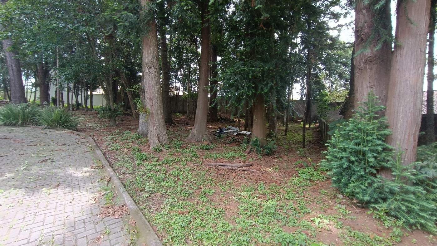 Terreno, 5898 m² - Foto 15